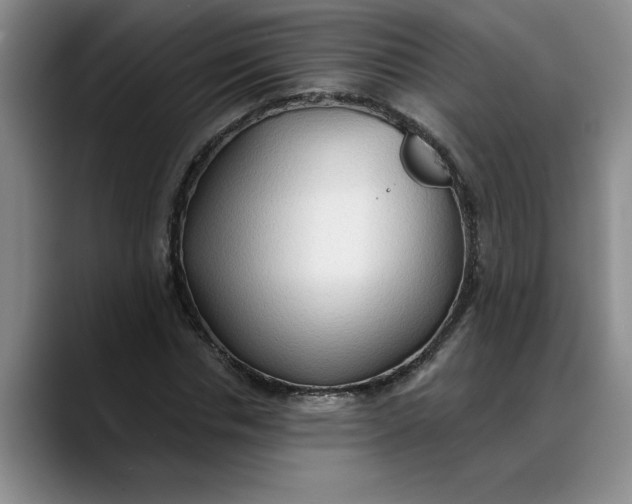 X0000088220826200705292111