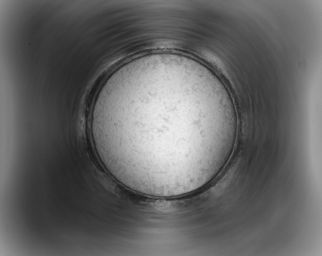 X0000088220827200705292111