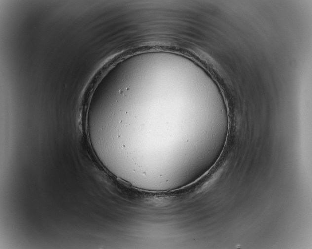 X0000088220830200705292111