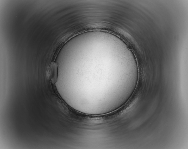 X0000088220833200705292111