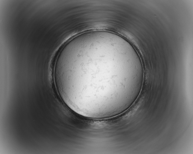 X0000088220835200705292111