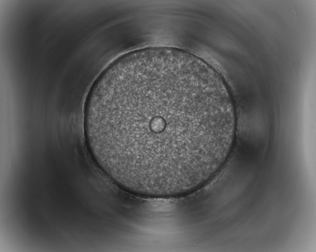 X0000088220836200705292111