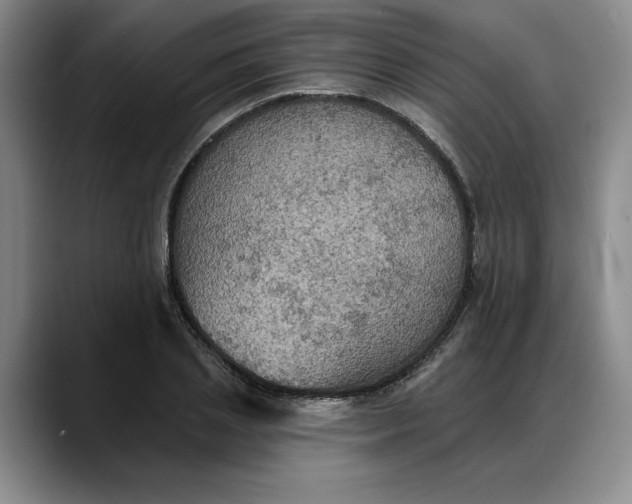 X0000088220837200705292112