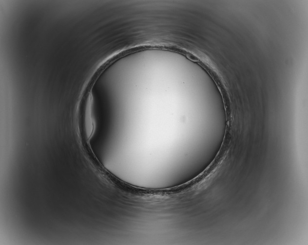 X0000088220838200705292112