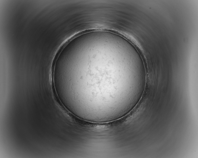 X0000088220839200705292112