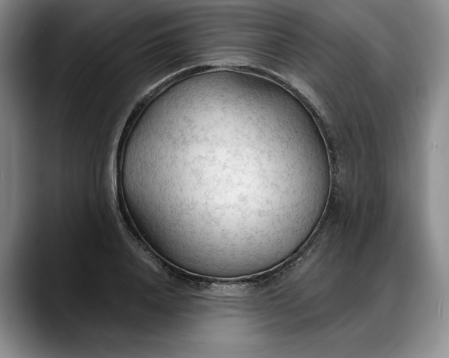 X0000088220840200705292112