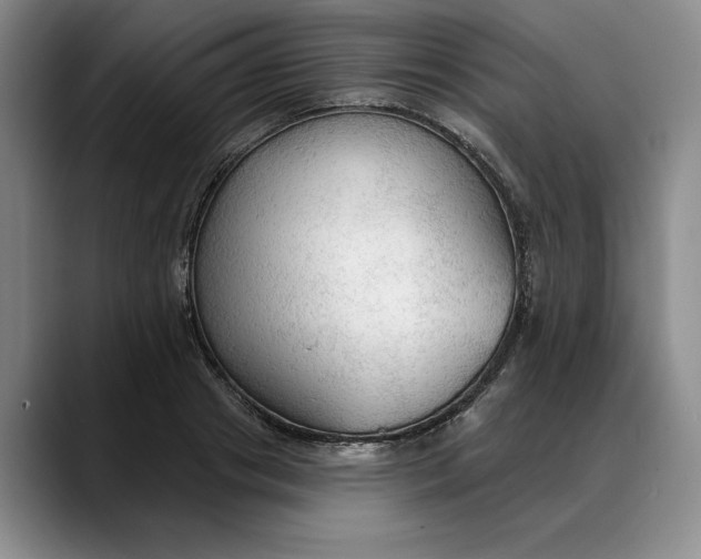 X0000088220841200705292112