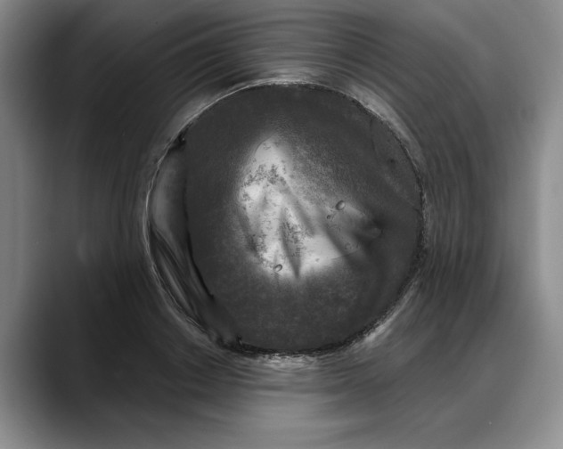 X0000088220842200705292112