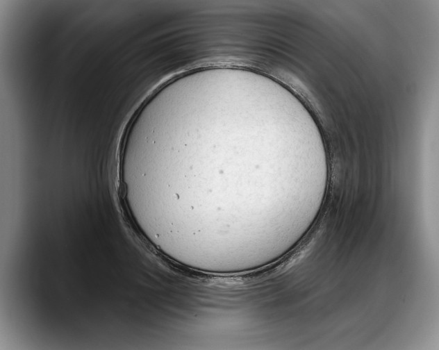 X0000088220844200705292112