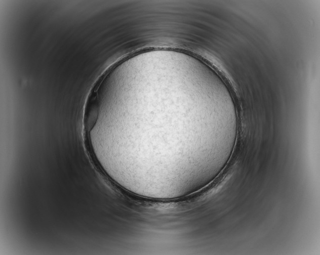 X0000088220845200705292112