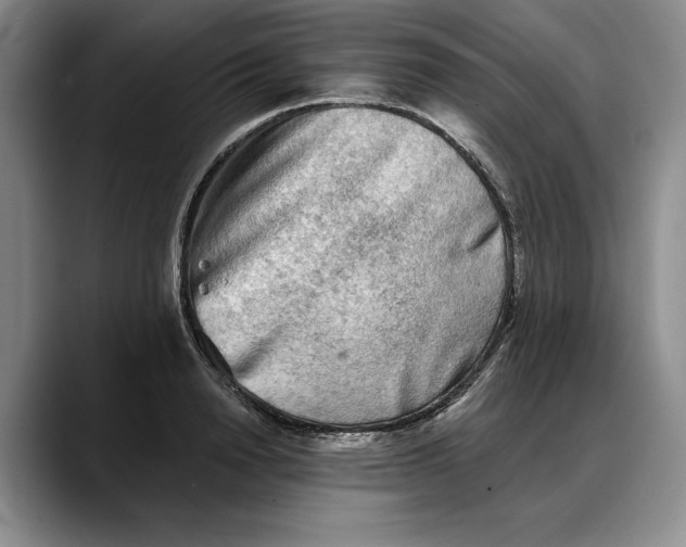 X0000088220846200705292112