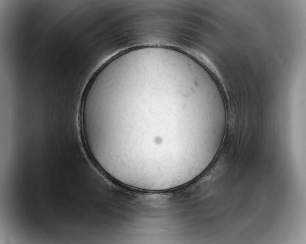 X0000088220847200705292112