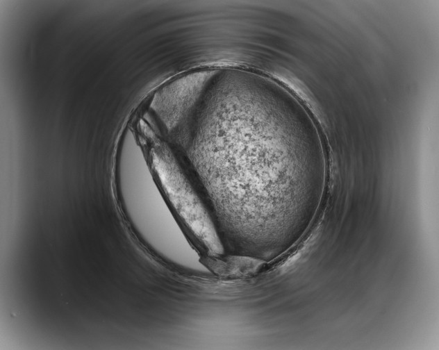 X0000088220850200705292112