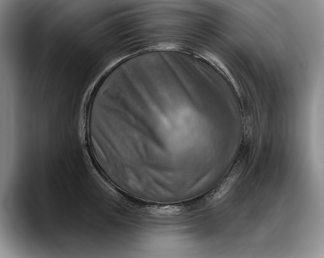 X0000088220851200705292112