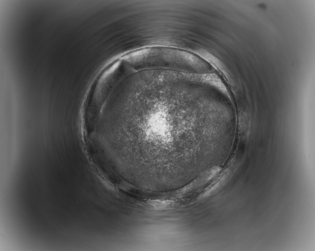 X0000088220854200705292112