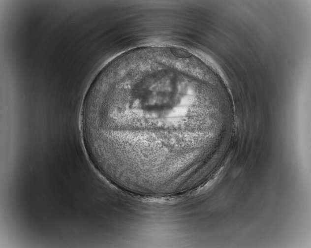 X0000088220855200705292112