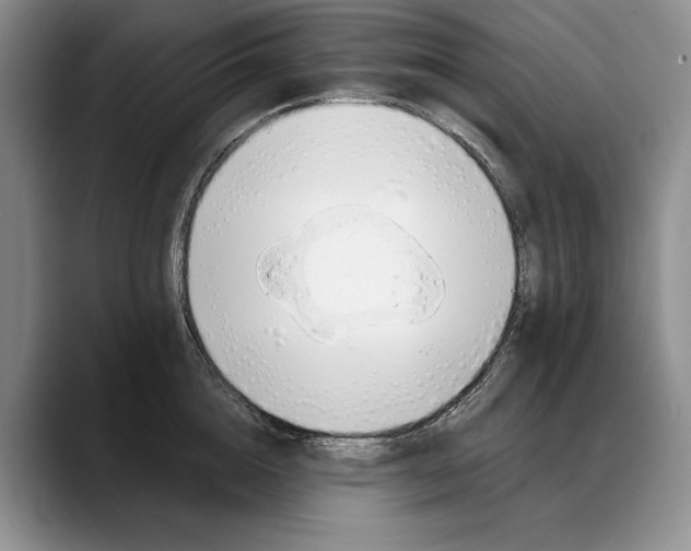 X0000088220856200705292112