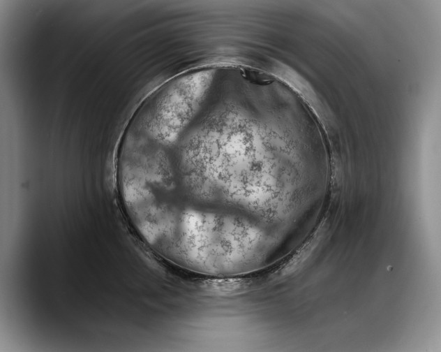 X0000088220858200705292112