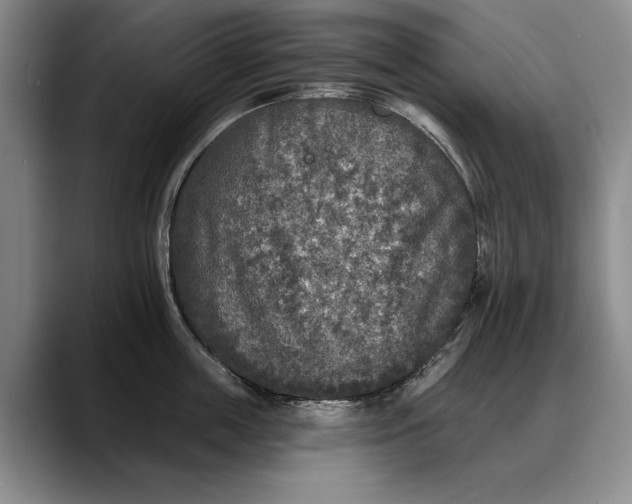 X0000088220859200705292112