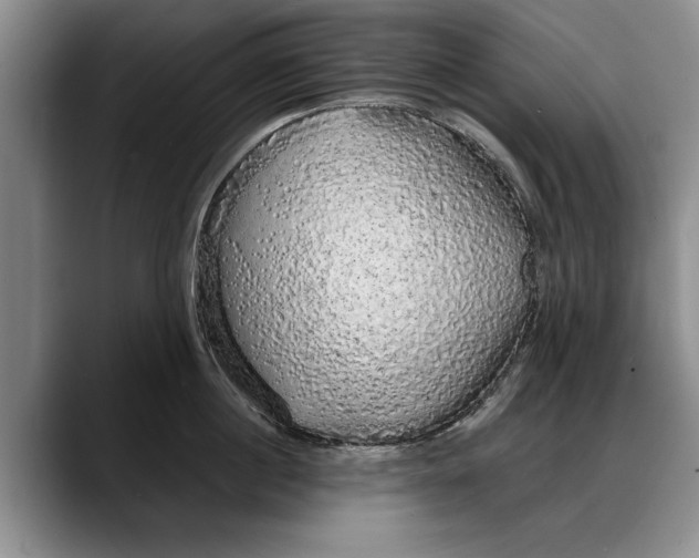 X0000088220860200705292112