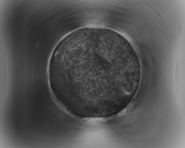 X0000088220864200705292112