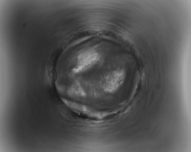 X0000088220868200705292111