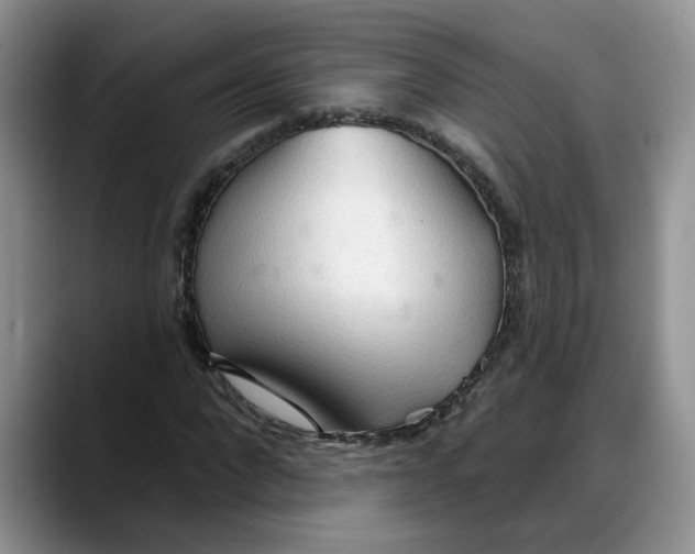 X0000088220872200705292111