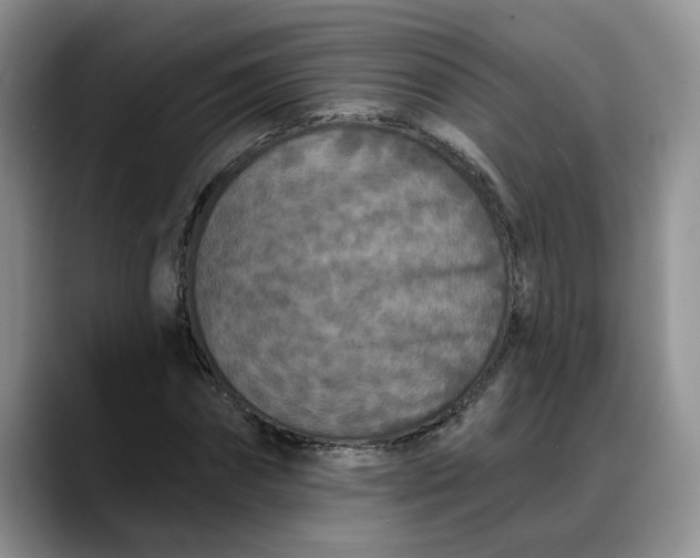 X0000088220874200705292111