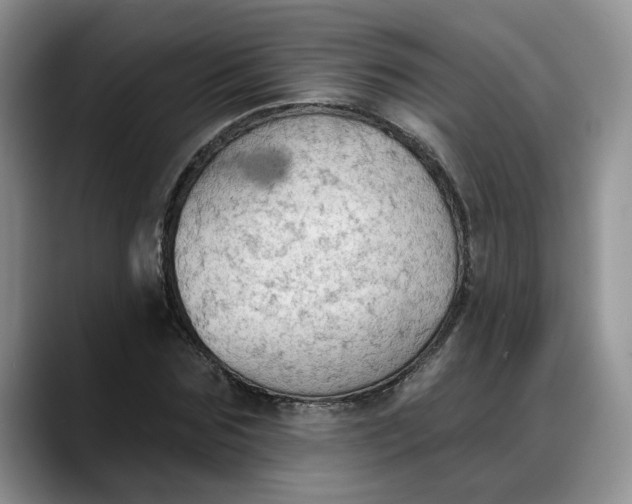 X0000088220875200705292111