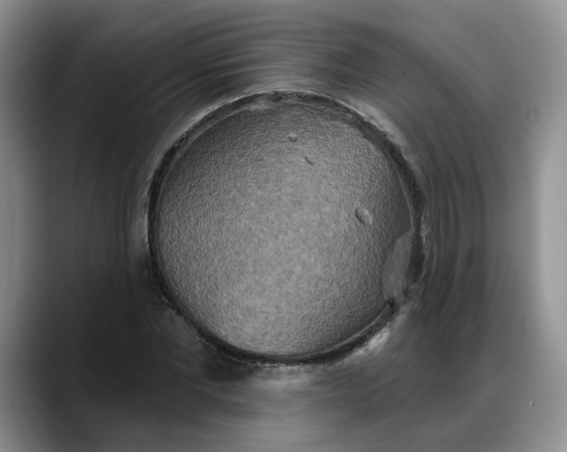 X0000088220877200705292111