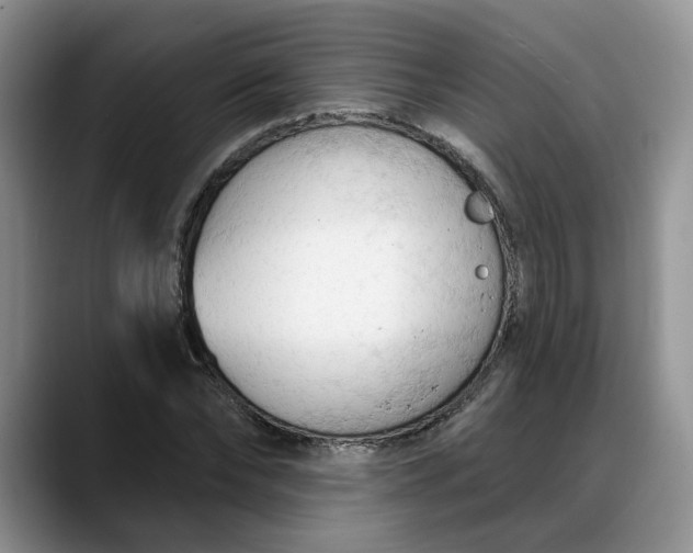 X0000088220878200705292111