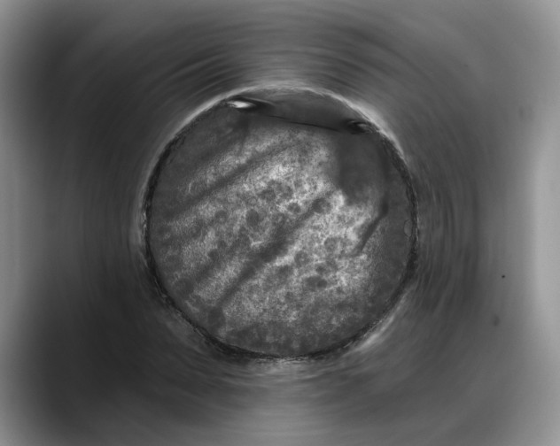 X0000088220879200705292111