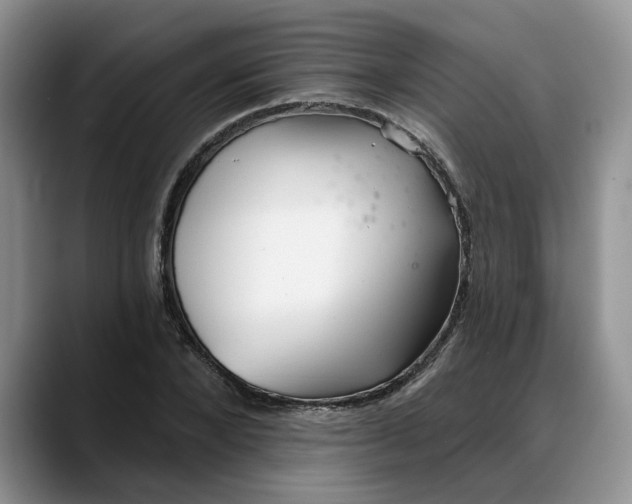 X0000088220880200705292111