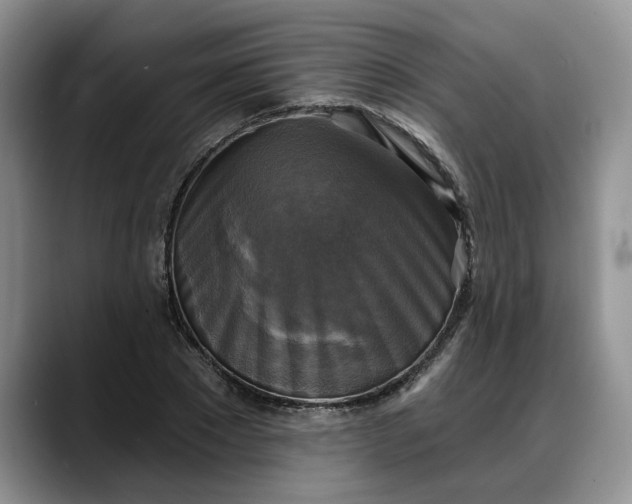 X0000088220881200705292111