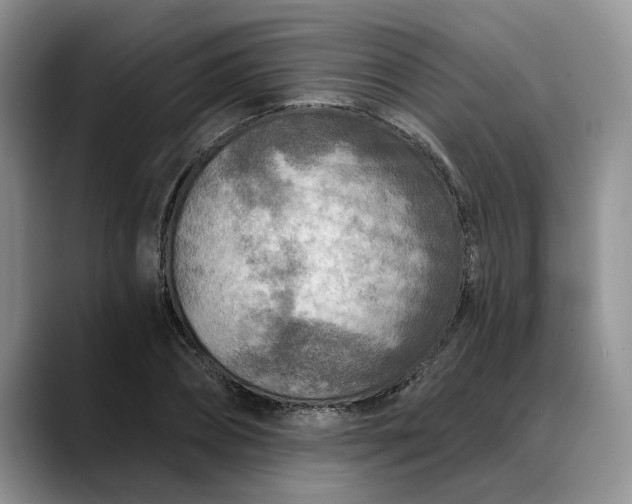 X0000088220882200705292111