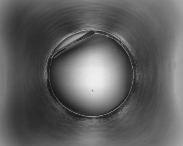 X0000088220885200705292111