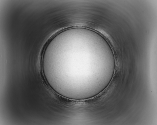 X0000088220886200705292111