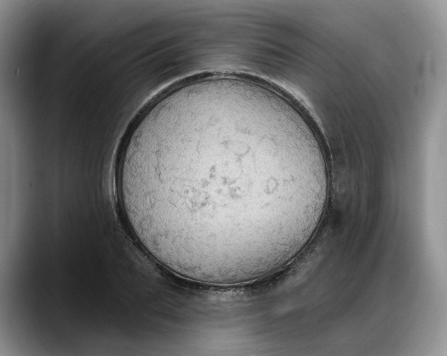 X0000088220887200705292111