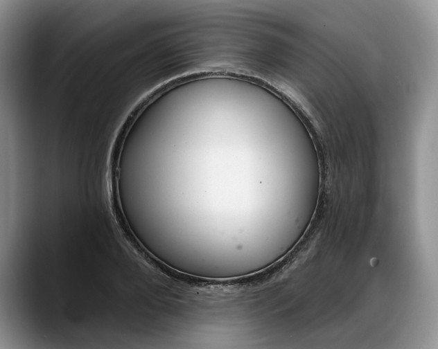 X0000088220888200705292111