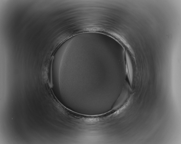 X0000088220889200705292111