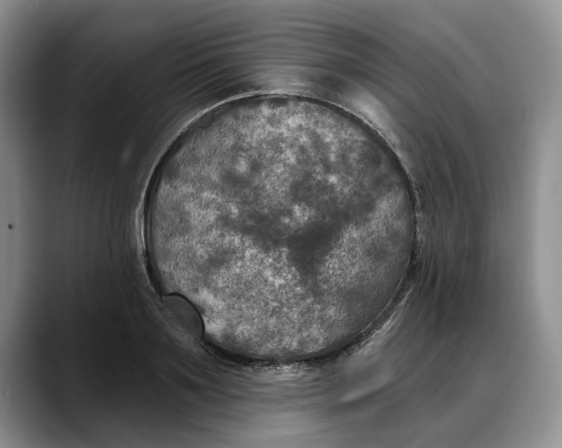 X0000088220891200705292111