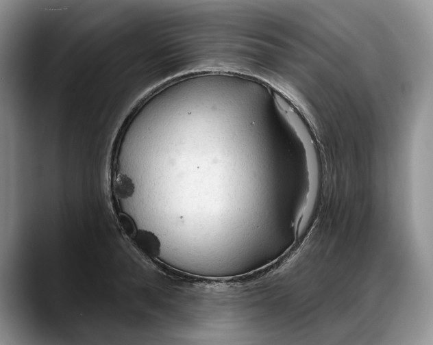 X0000088220896200705292111