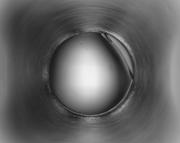 X0000088220897200705292111