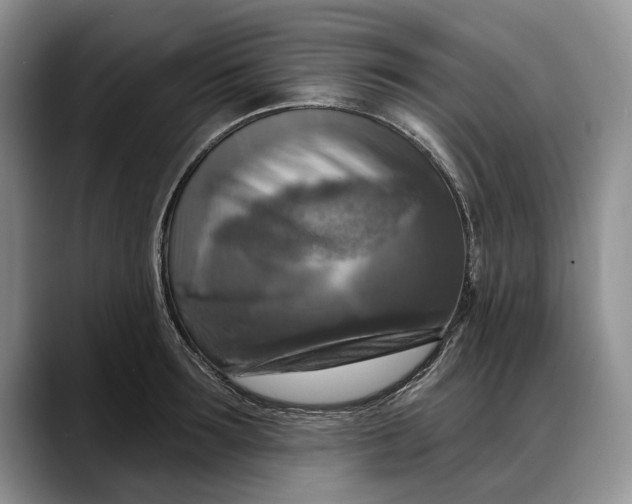 X0000088220899200705292111