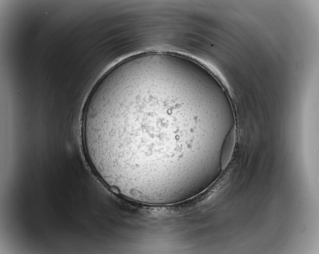 X0000088220903200705292111