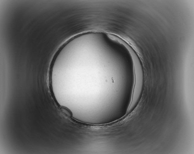 X0000088220904200705292111