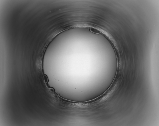 X0000088220905200705292111