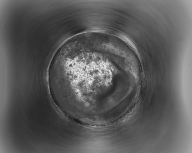 X0000088220907200705292111