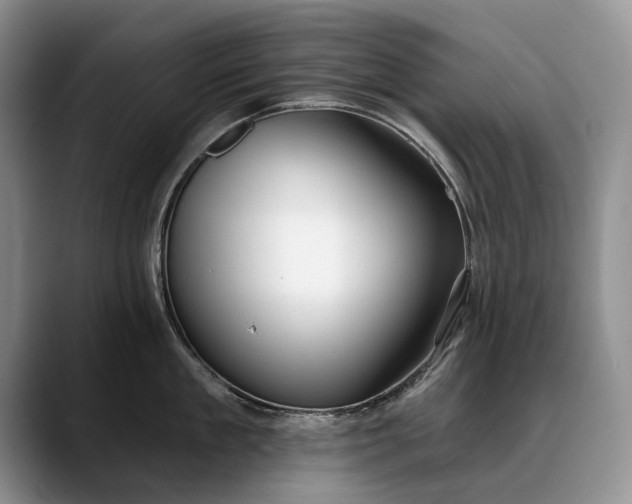 X0000088220909200705292111