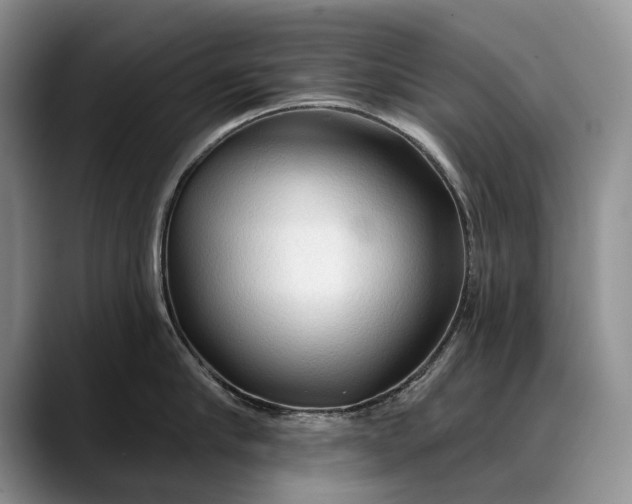 X0000088220910200705292111